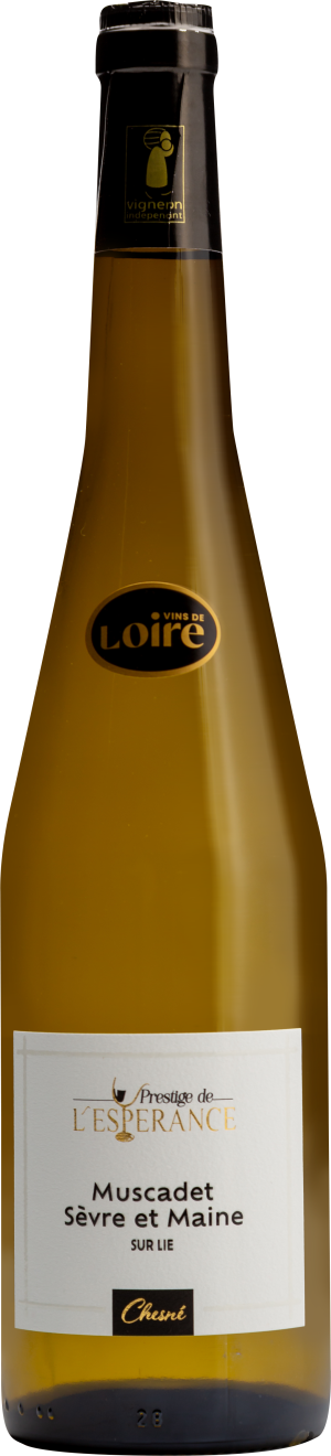 Muscadet Sèvre & Maine Sur Lie AOP